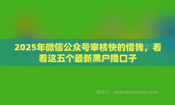 2025年微信公众号审核快的借钱，看看这五个最新黑户撸口子