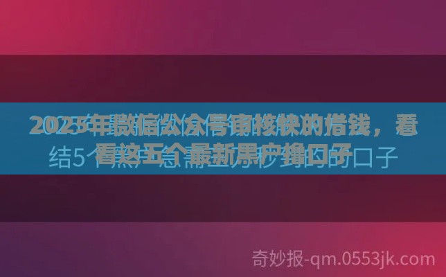 2025年微信公众号审核快的借钱，看看这五个最新黑户撸口子