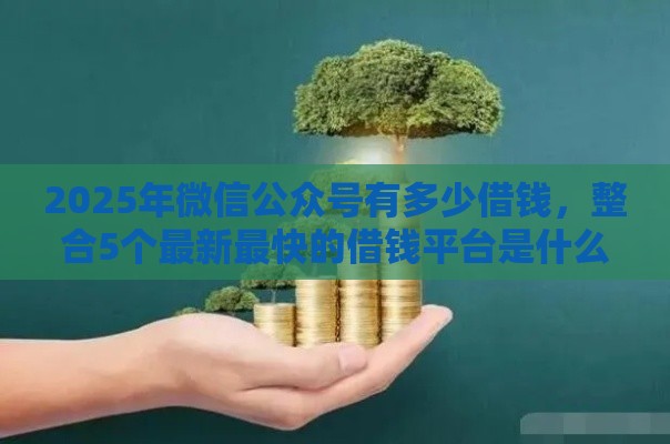 2025年微信公众号有多少借钱，整合5个最新最快的借钱平台是什么