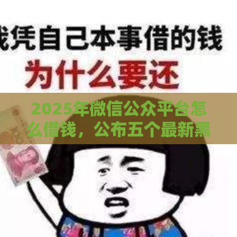 2025年微信公众平台怎么借钱，公布五个最新黑户能下200的小贷口子
