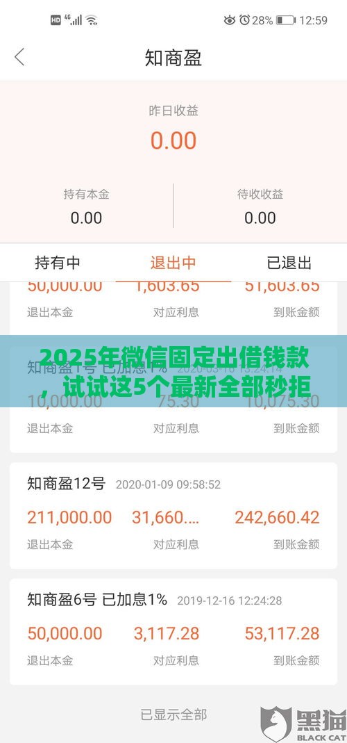 2025年微信固定出借钱款，试试这5个最新全部秒拒还有啥口子