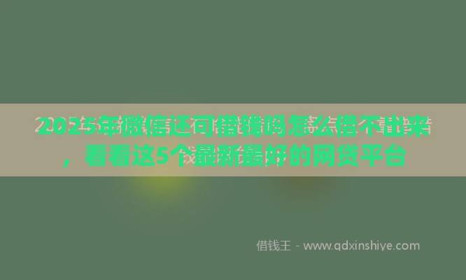 2025年微信还可借钱吗怎么借不出来，看看这5个最新最好的网贷平台