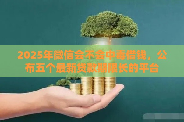 2025年微信会不会中毒借钱，公布五个最新贷款期限长的平台