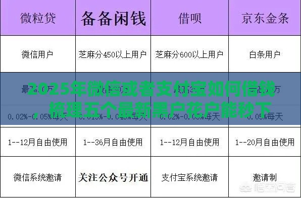 2025年微信或者支付宝如何借钱，梳理五个最新黑户花户能秒下款的平台