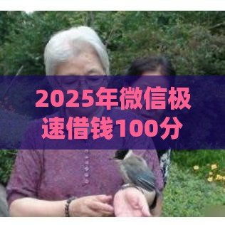 2025年微信极速借钱100分，整合5个最新网上正规借钱平台
