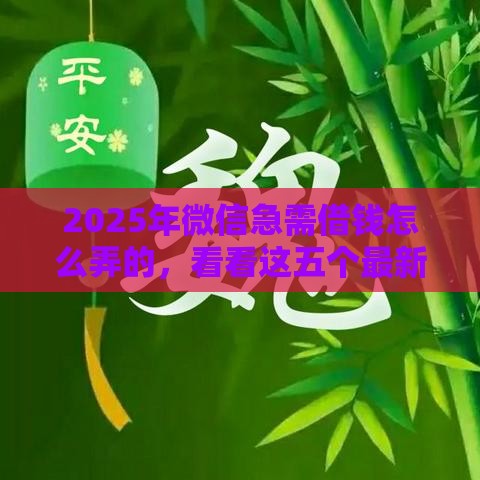2025年微信急需借钱怎么弄的，看看这五个最新62岁能借钱的平台