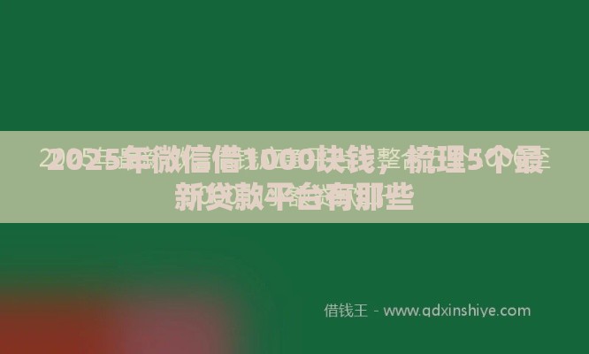 2025年微信借1000块钱，梳理5个最新贷款平台有那些