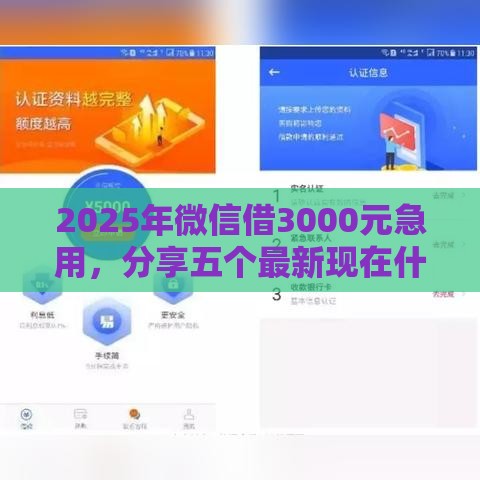 2025年微信借3000元急用，分享五个最新现在什么网贷平台最容易通过
