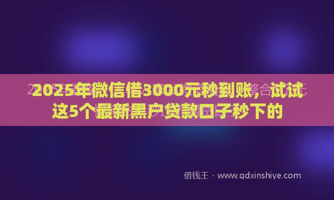 2025年微信借3000元秒到账，试试这5个最新黑户贷款口子秒下的