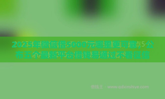 2025年微信借5000元哪里更可靠，公布五个最新平台借钱易通过不看征信