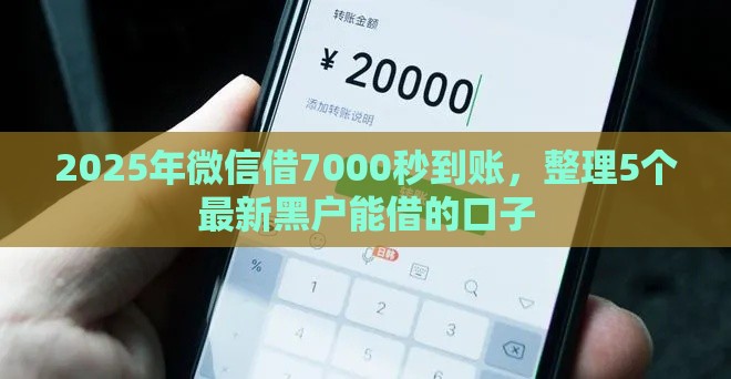 2025年微信借7000秒到账，整理5个最新黑户能借的口子