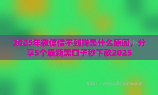 2025年微信借不到钱是什么原因，分享5个最新黑口子秒下款2025