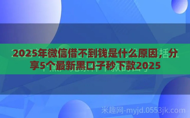 2025年微信借不到钱是什么原因，分享5个最新黑口子秒下款2025