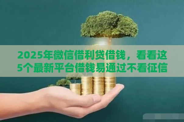 2025年微信借利贷借钱，看看这5个最新平台借钱易通过不看征信