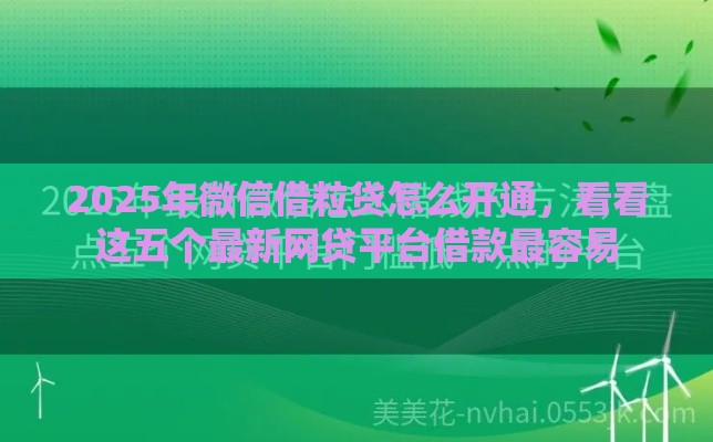 2025年微信借粒贷怎么开通，看看这五个最新网贷平台借款最容易