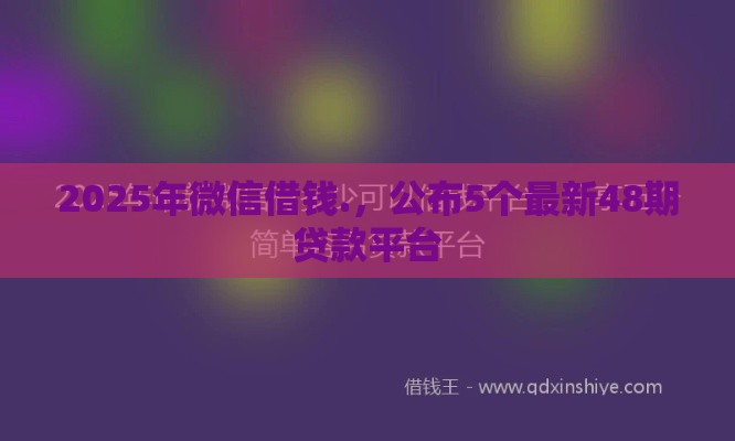 2025年微信借钱.，公布5个最新48期贷款平台
