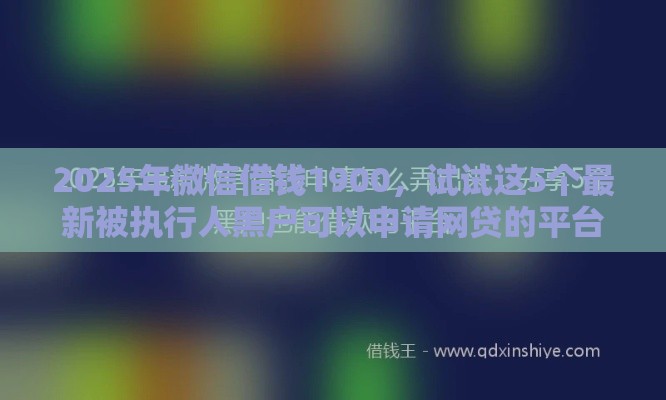 2025年微信借钱1900，试试这5个最新被执行人黑户可以申请网贷的平台