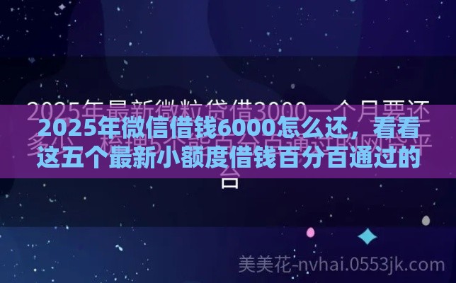 2025年微信借钱6000怎么还，看看这五个最新小额度借钱百分百通过的平台
