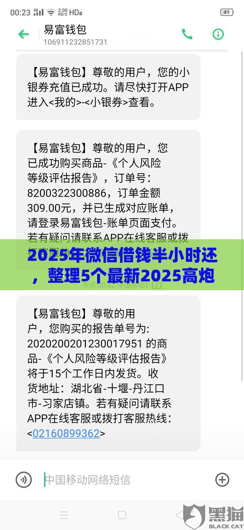 2025年微信借钱半小时还，整理5个最新2025高炮借款平台黑口子链接