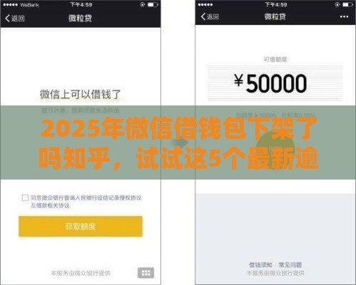 2025年微信借钱包下架了吗知乎，试试这5个最新逾期黑户最好下款的借钱平台