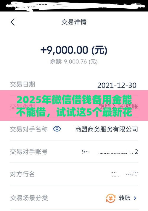 2025年微信借钱备用金能不能借，试试这5个最新花户能下款的平台