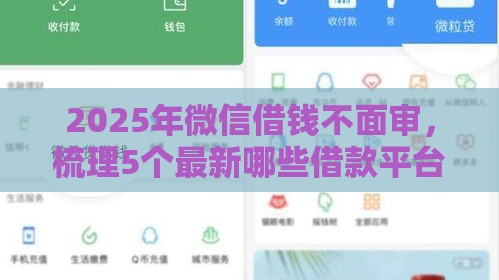 2025年微信借钱不面审，梳理5个最新哪些借款平台容易借到钱