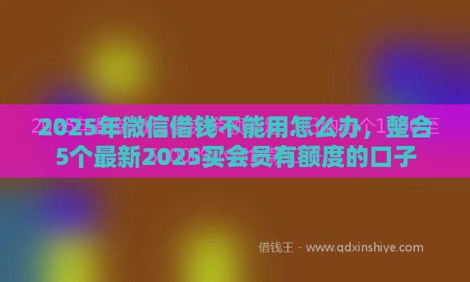 2025年微信借钱不能用怎么办，整合5个最新2025买会员有额度的口子