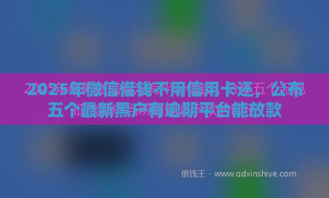2025年微信借钱不用信用卡还，公布五个最新黑户有逾期平台能放款