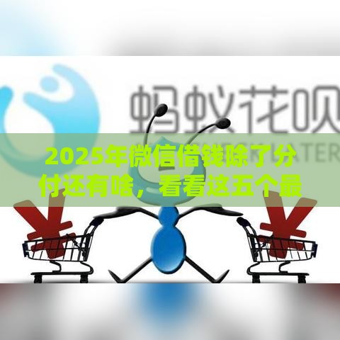2025年微信借钱除了分付还有啥，看看这五个最新借款平台可以线上借钱
