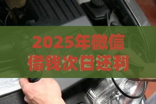 2025年微信借钱次日还利息，看看这五个最新老赖可以下款的口子