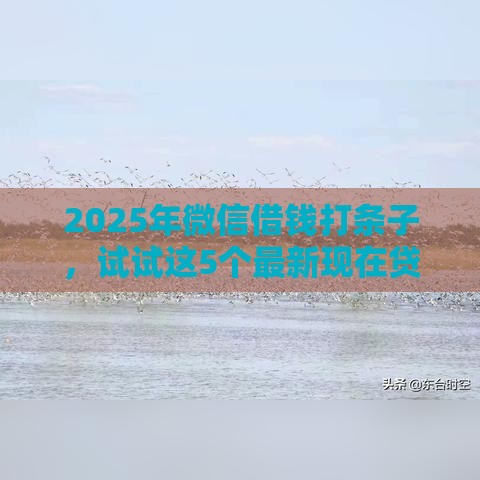 2025年微信借钱打条子，试试这5个最新现在贷款平台好用