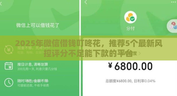 2025年微信借钱叮咚花，推荐5个最新风控评分不足能下款的平台