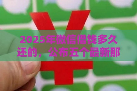 2025年微信借钱多久还的，公布五个最新那些平台60—65岁可以借钱
