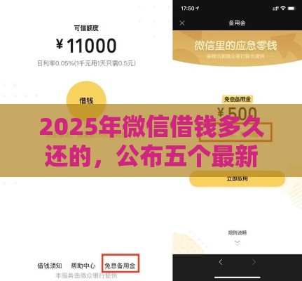 2025年微信借钱多久还的，公布五个最新那些平台60—65岁可以借钱