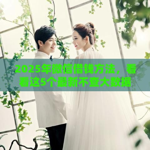 2025年微信借钱方法，看看这5个最新不查大数据的网贷口子
