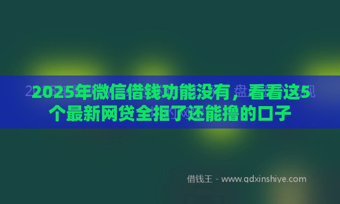 2025年微信借钱功能没有，看看这5个最新网贷全拒了还能撸的口子