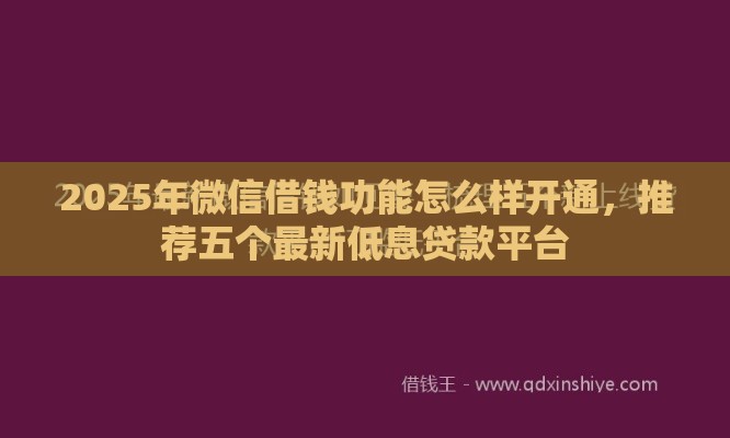 2025年微信借钱功能怎么样开通，推荐五个最新低息贷款平台