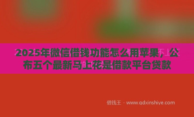 2025年微信借钱功能怎么用苹果，公布五个最新马上花是借款平台贷款