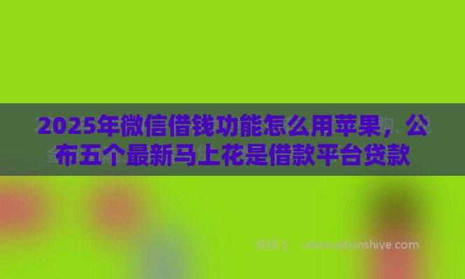 2025年微信借钱功能怎么用苹果，公布五个最新马上花是借款平台贷款
