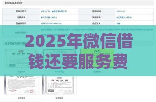 2025年微信借钱还要服务费怎么办，公布5个最新网贷平台排名不分先后