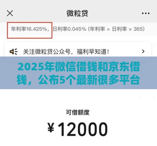 2025年微信借钱和京东借钱，公布5个最新很多平台不能下款还其他平台