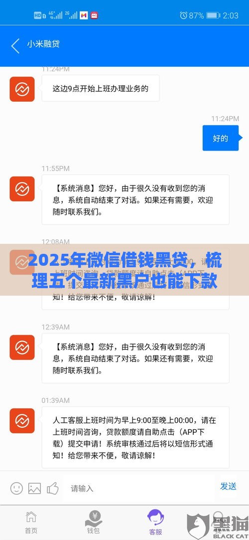 2025年微信借钱黑贷，梳理五个最新黑户也能下款的软件