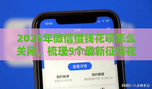 2025年微信借钱花呗怎么关闭，梳理5个最新征信花了也能借钱的正规平台