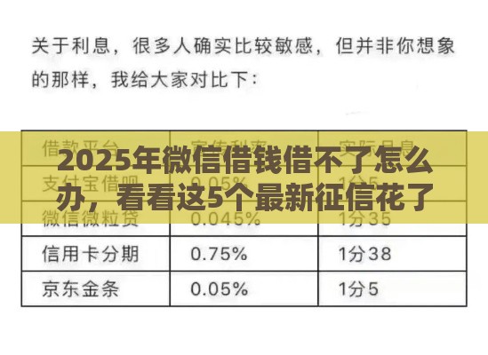 2025年微信借钱借不了怎么办，看看这5个最新征信花了负债过高平台可以贷款