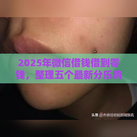 2025年微信借钱借到零钱，整理五个最新分乐购一样口子