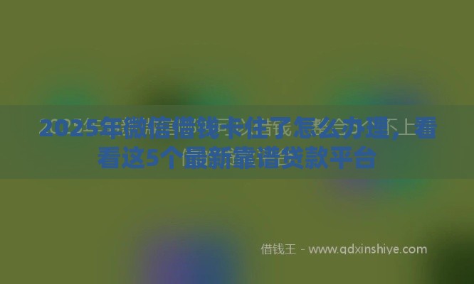 2025年微信借钱卡住了怎么办理，看看这5个最新靠谱贷款平台