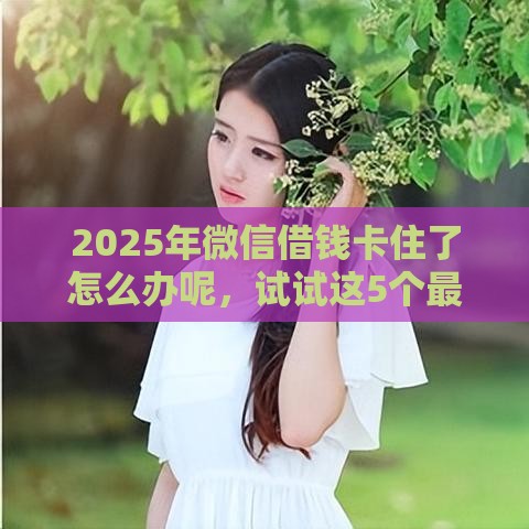 2025年微信借钱卡住了怎么办呢，试试这5个最新可以快速借钱的平台