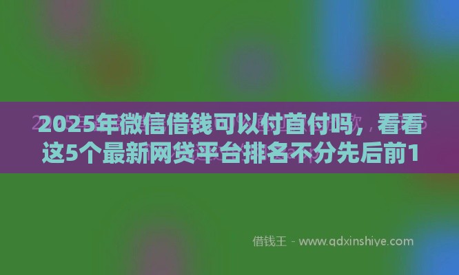 2025年微信借钱可以付首付吗，看看这5个最新网贷平台排名不分先后前100名