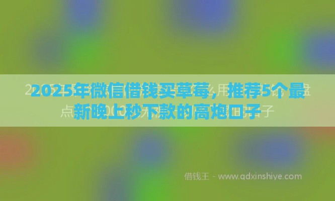 2025年微信借钱买草莓，推荐5个最新晚上秒下款的高炮口子