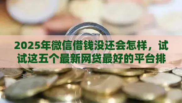2025年微信借钱没还会怎样，试试这五个最新网贷最好的平台排名不分先后